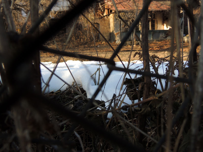 Снег. Снято макросъёмкой. Снег. Снято макросъёмкой.