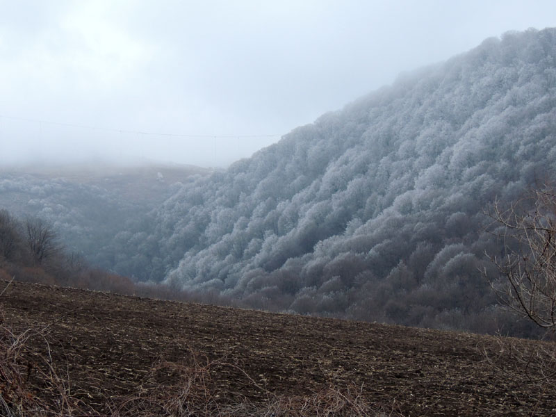 Пашня... "серебряный" лес. Пашня... "серебряный" лес.