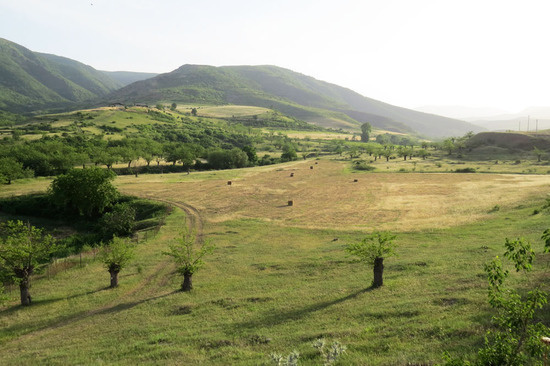 Летние зарисовки.