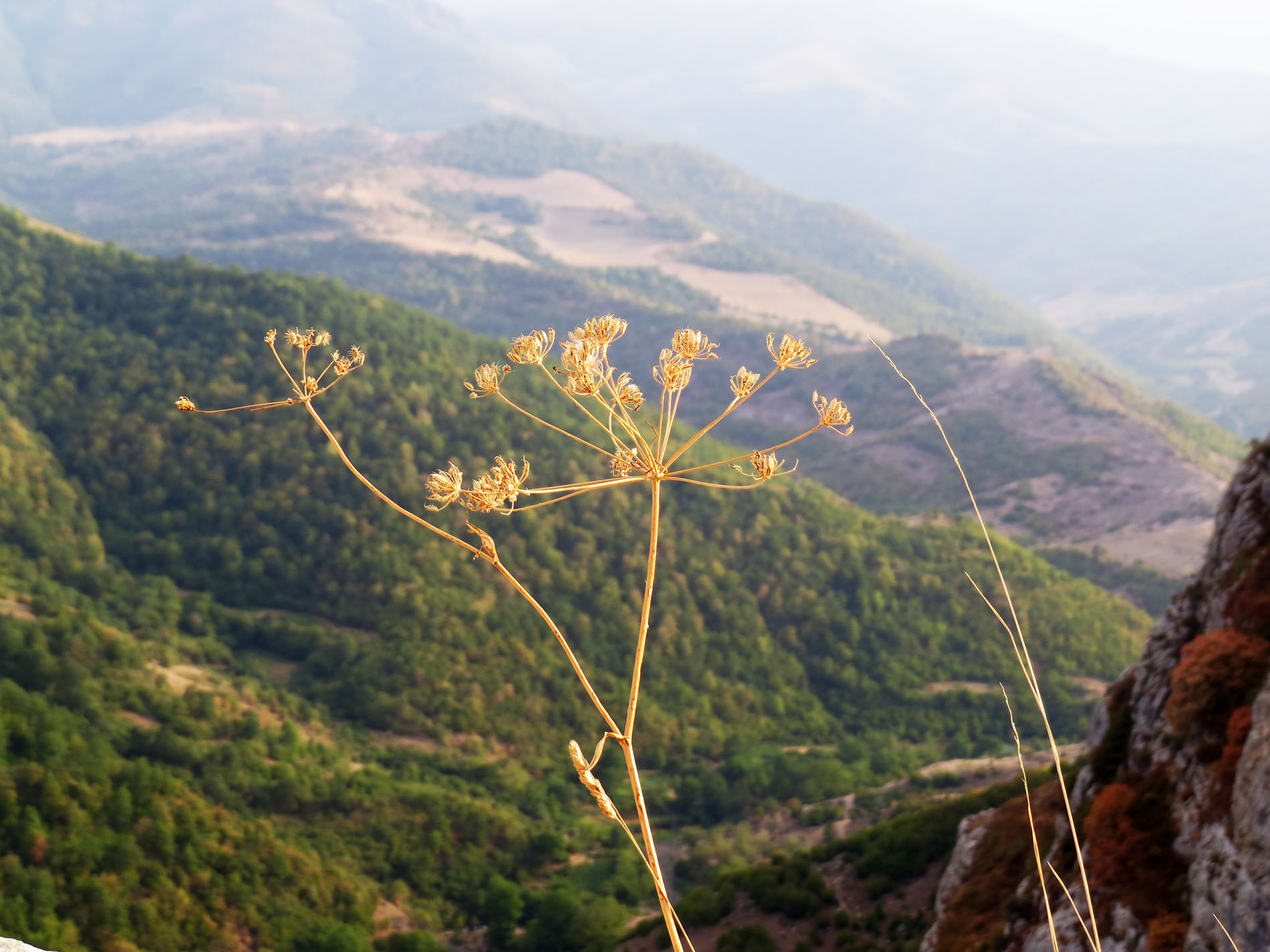 Последние летние фотозарисовки.