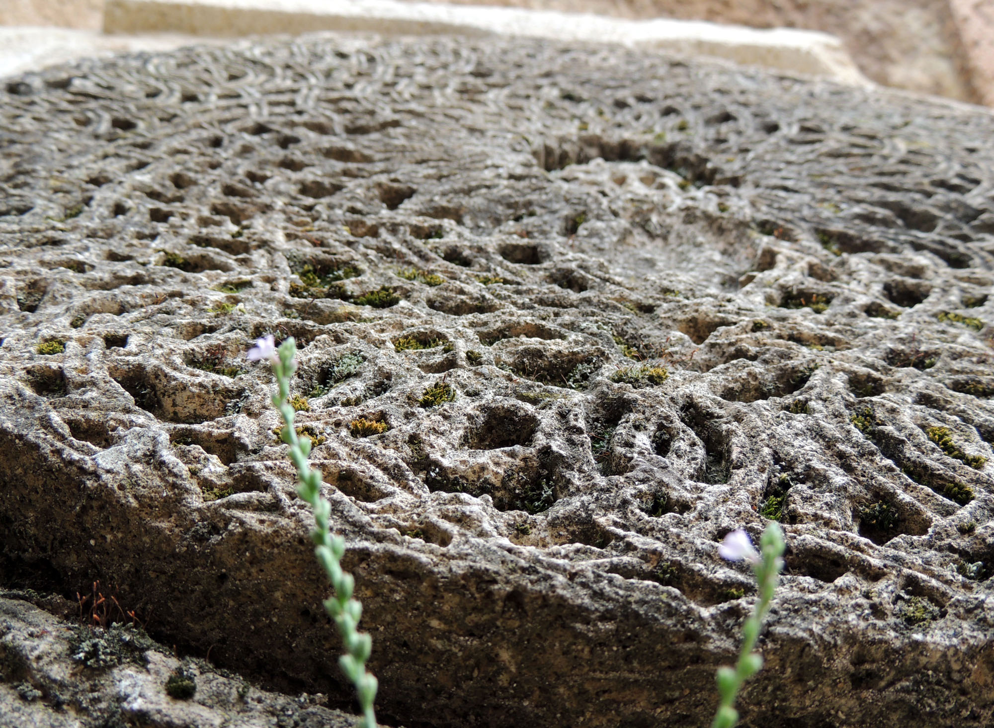 Камень с искуссной вязью. Камень с искусной вязью.