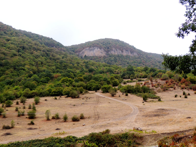 Дорога ведёт в лес. с.Кичан Мардакертского района. Дорога ведёт в лес. с.Кичан Мардакертского района.