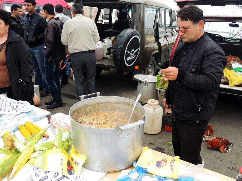 Карабахский куркут. Карабахский куркут.