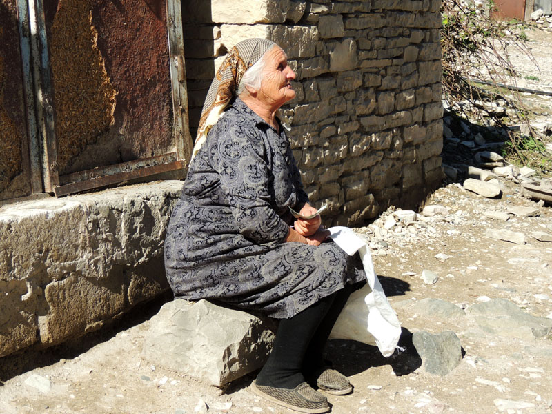 Бабушка пришла купить капусты. Бабушка пришла купить капусты.