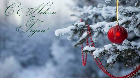 С Новым 2015 годом! С Новым 2015 годом!