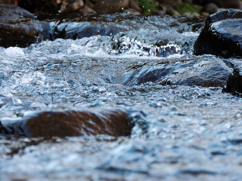В этом месте ручка сузилась и вода течёт бурным потоком.