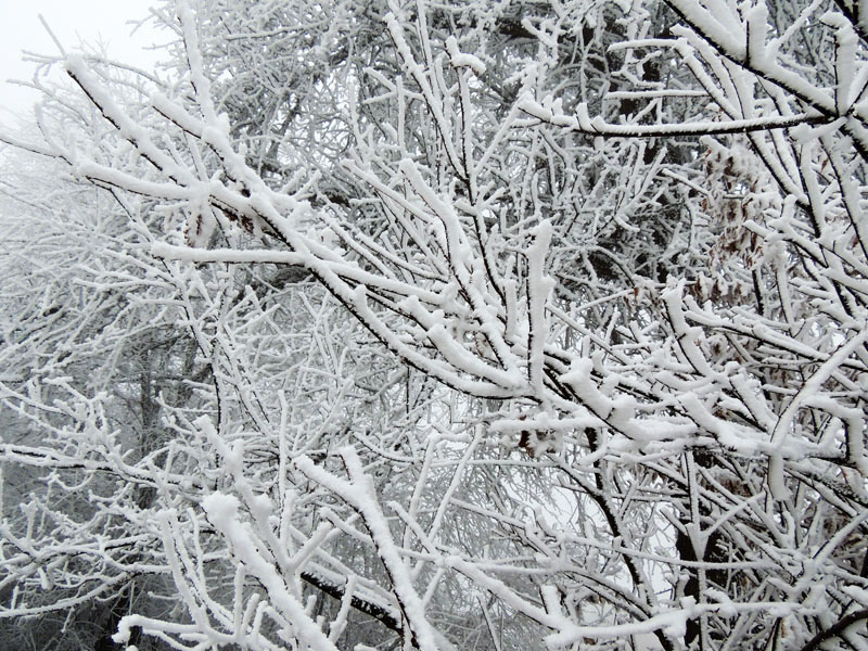 Фото 6. Фото 6.