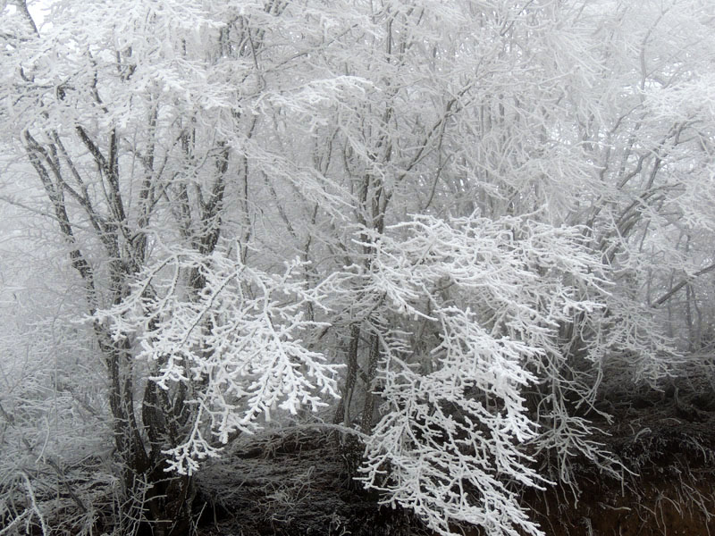 Фото 13. Фото 13.