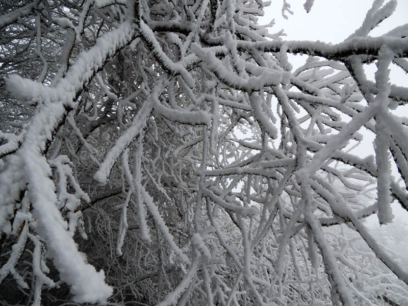 Фото 18. Фото 18.