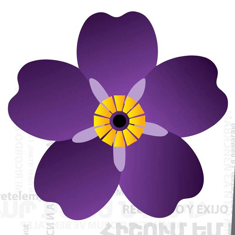 Цветок незабудки Цветок незабудки