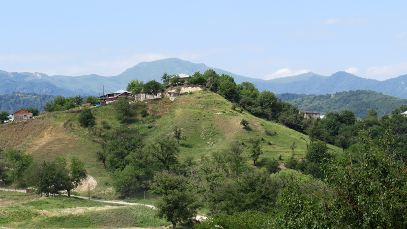 Июньские фотозарисовки. Июньские фотозарисовки.