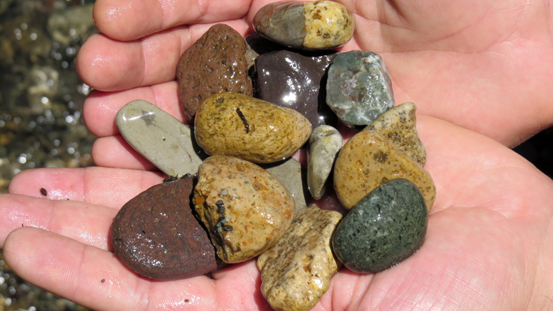 Июньские фотозарисовки. Июньские фотозарисовки.