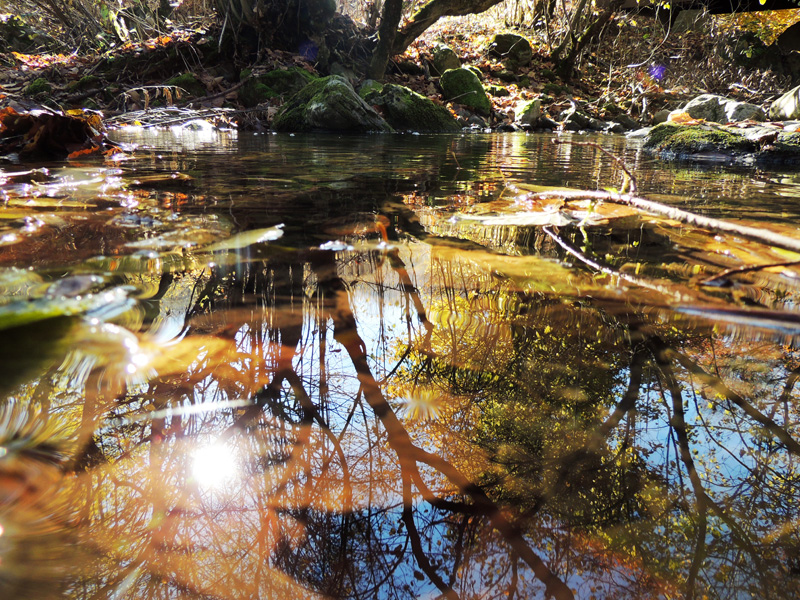 Ты можешь быть мягкой и жестокой... Ты можешь быть мягкой и жестокой...