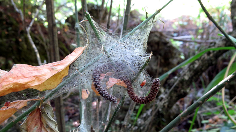 Зарисовка 12. Зарисовка 12.