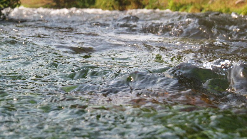 Зарисовка 5.