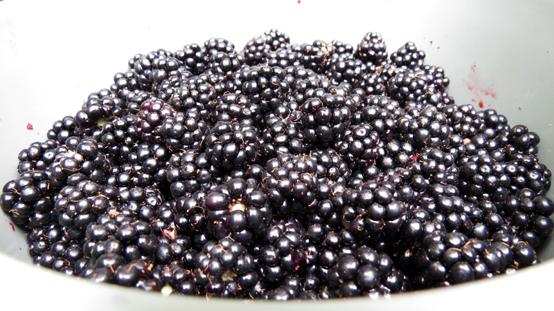 Ущелье Унот 21. Ущелье Унот 21.