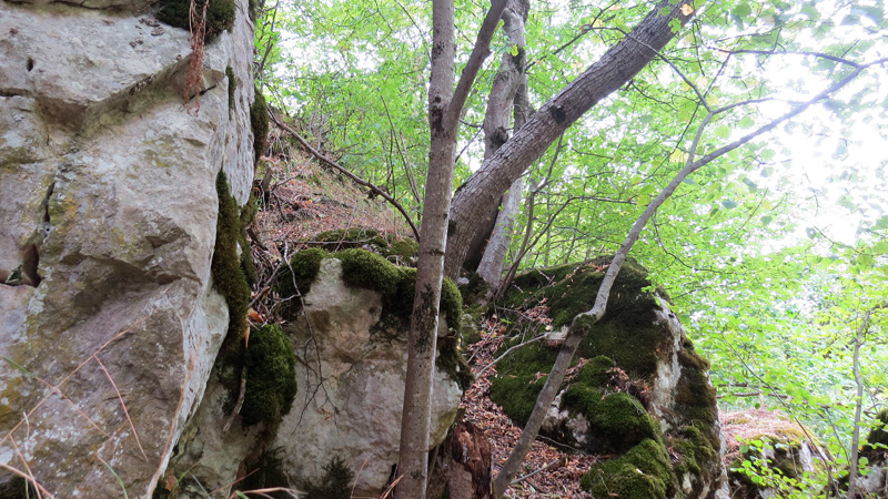 Ущелье Унот 25. Ущелье Унот 25.