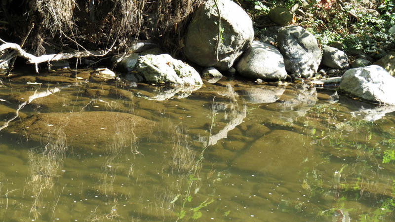 Валуны... Валуны...