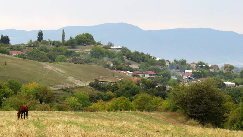 Конь на выпасе. Конь на выпасе.