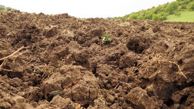 Пашня. Пашня.