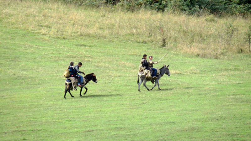 В поход на осликах В поход на осликах