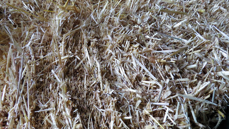 Солома. Солома.