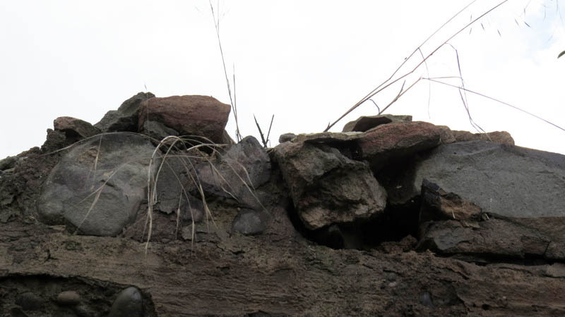 Сухие травинки на разрушенной стене. Сухие травинки на разрушенной стене.