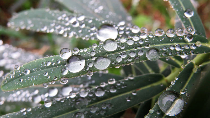 В большой капельке в правом углу виден я.