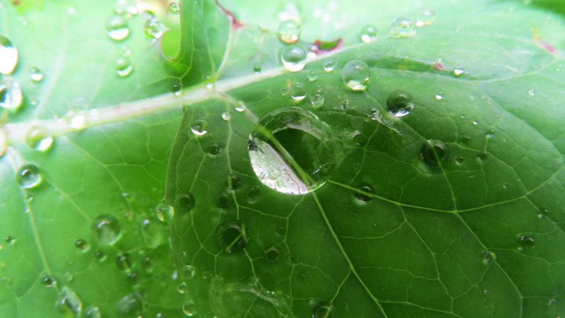 Cегодняшнее утреннее фото - 2. Cегодняшнее утреннее фото - 2.