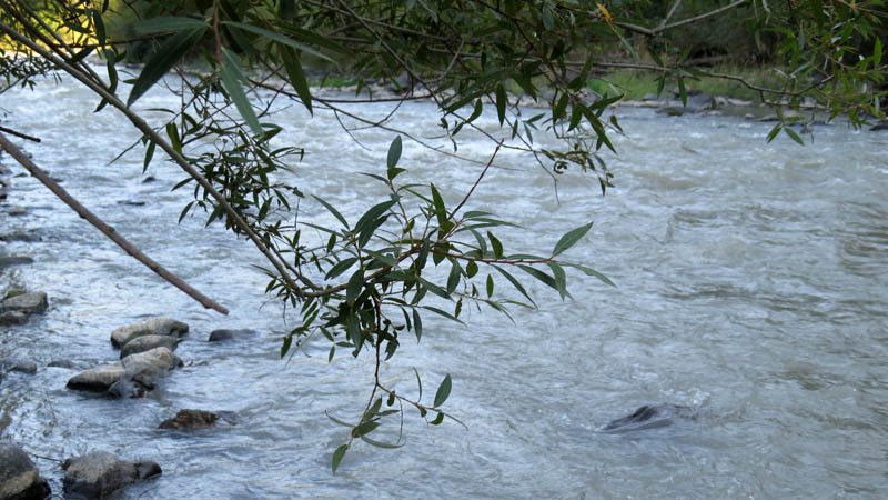 Река Тер-тер. Река Тер-тер.