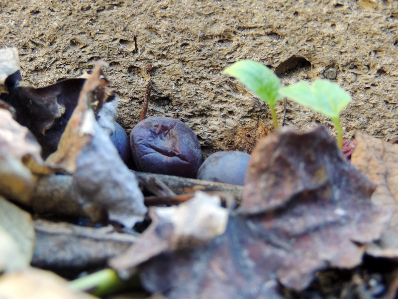 Зарисовка 10. Зарисовка 10.