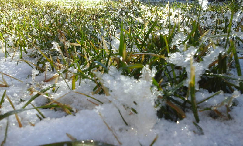 Зимний день 2. Зимний день 2.