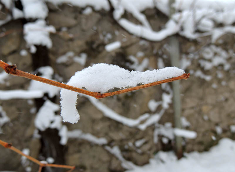 Зимний день 10. Зимний день 10.