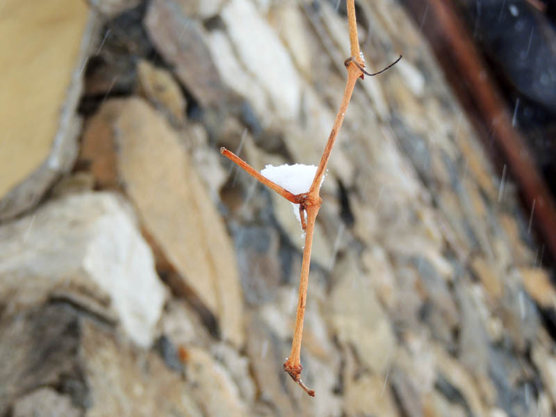 Зимний день 12. Зимний день 12.