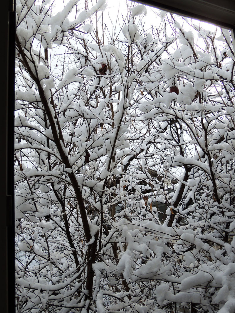 Виртуальная выставка, январь - 6. Виртуальная выставка, январь - 6.