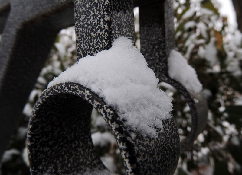 Снег на металлической ограде. Снег на металлической ограде.