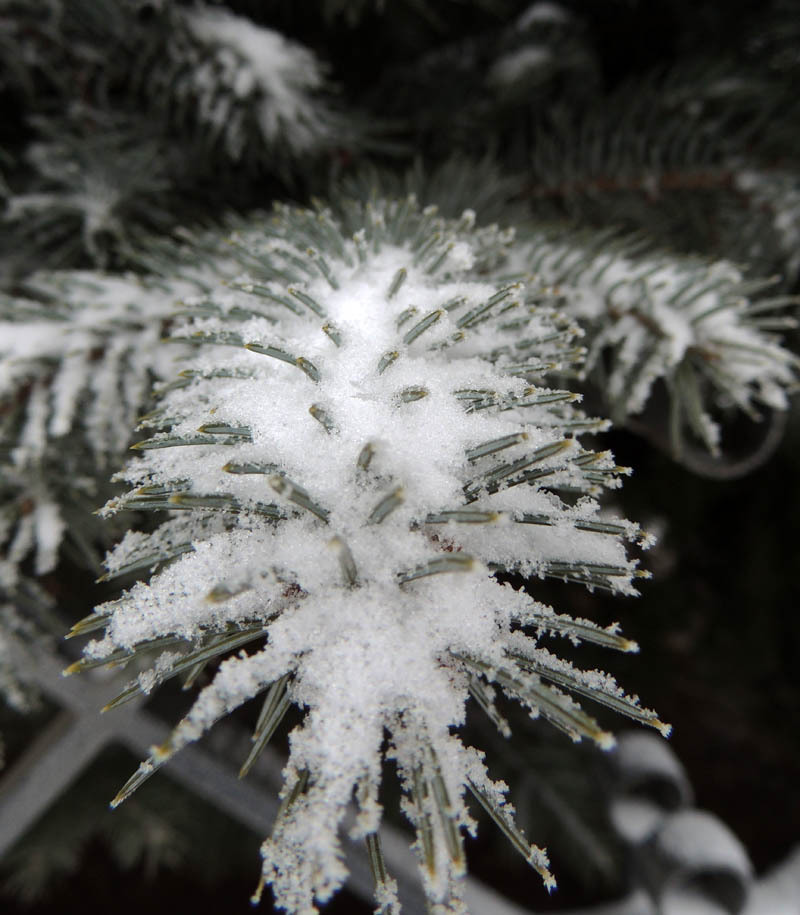Фрагмент. Фрагмент.