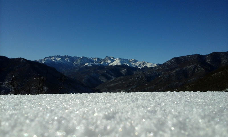 Фотография - Фотография -