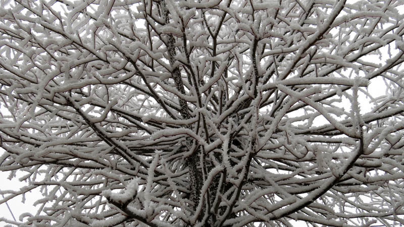 Фотография - Фотография -