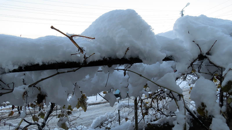 Фотография - Фотография -