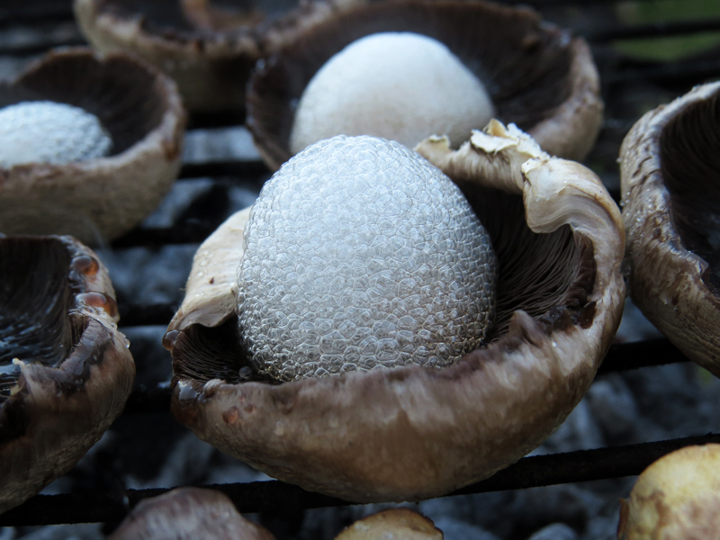 Удивительно, но это появилось после того, как гриб начал "поспевать" на углях.